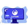 SAPUI5 Design & Development